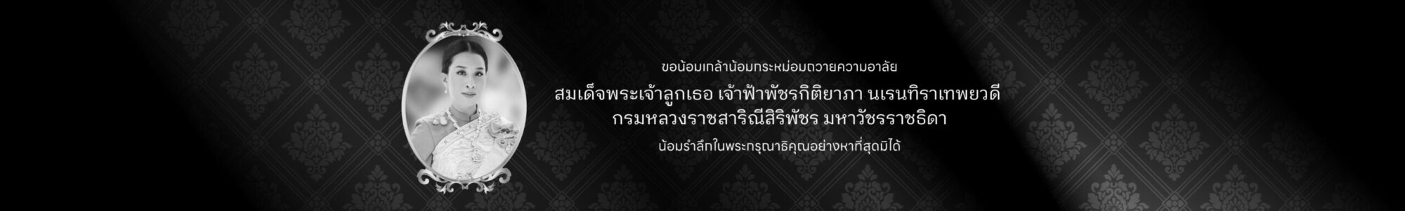 3D Printing Khonkaen